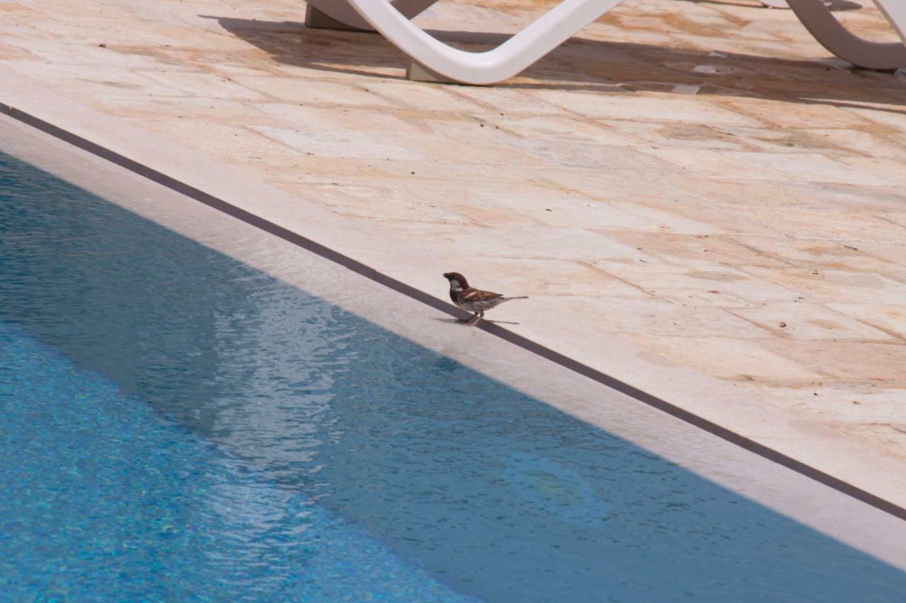 Casale Salento Bed & Breakfast Nardo Ngoại thất bức ảnh