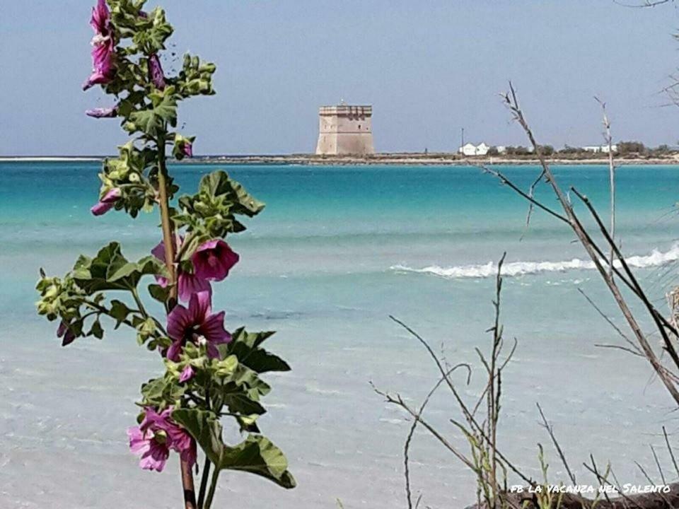 Casale Salento Bed & Breakfast Nardo Ngoại thất bức ảnh